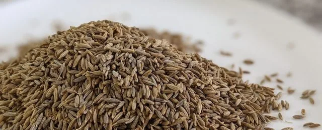 cumin-seeds