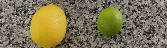 lime-lemons