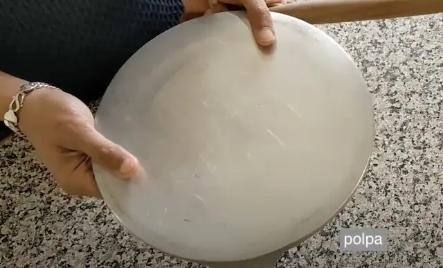 polpat