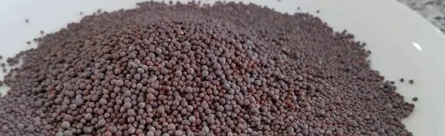 Essential ingredients in Indian Cooking