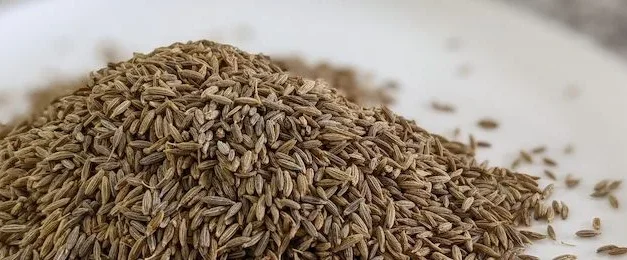 Essential ingredients in Indian Cooking
